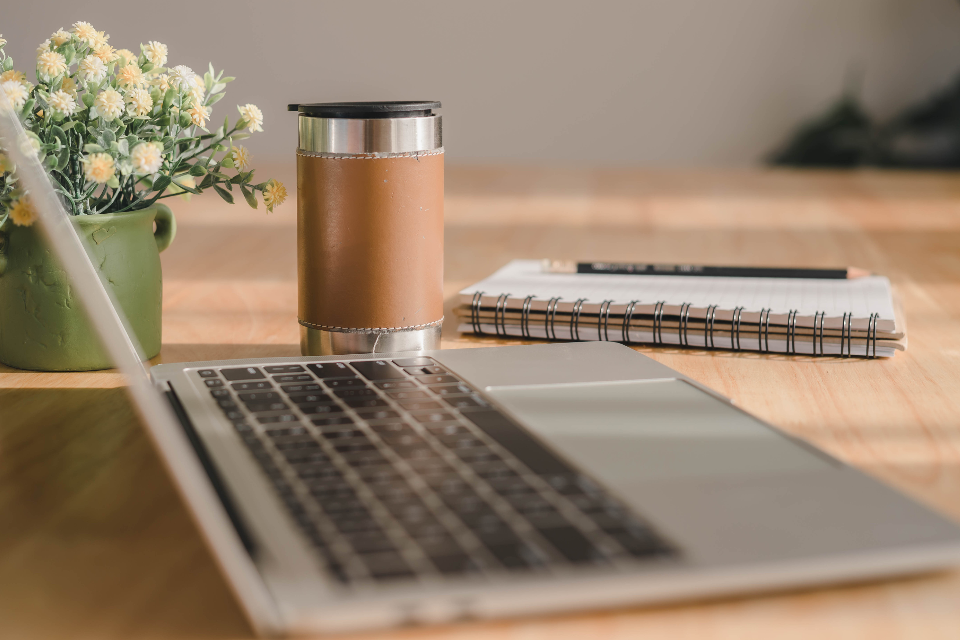 プラントップ画像